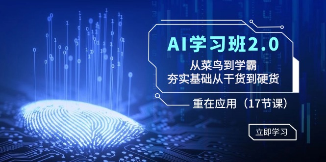 AI学习班2.0：从菜鸟到学霸，夯实基础从干货到硬货，重在应用（17节课）-汇课新知资源网