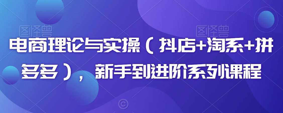 电商理论与实操（抖店+淘系+拼多多），新手到进阶系列课程-汇课新知资源网
