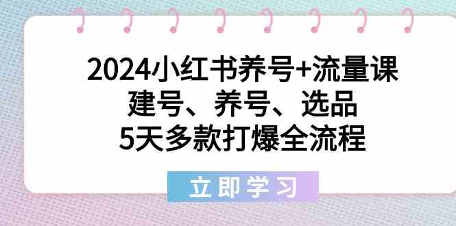 2024小红书养号+流量课：建号、养号、选品，5天多款打爆全流程-汇课新知资源网