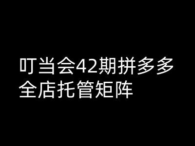 叮当会拼多多打爆班原创高阶技术第42期，拼多多全店托管矩阵-汇课新知资源网
