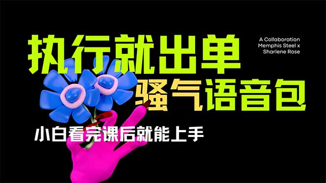 爆火全网的开车导航骚气语音包,只要执行就出单，小白看完课程就能实操…-汇课新知资源网
