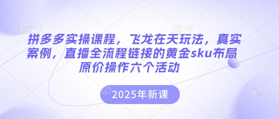 拼多多实操课程，飞龙在天玩法，真实案例，直播全流程链接的黄金sku布局原价操作六个活动-汇课新知资源网
