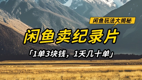 闲鱼卖纪录片1单3块钱，1天几十单，项目稳定有潜力-汇课新知资源网
