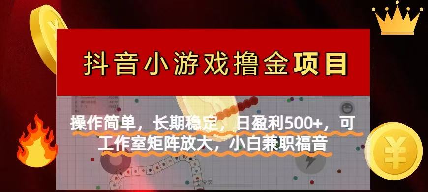【抖音小游戏发行人计划项目】操作简单，长期稳定，日盈利500+，可工作…-汇课新知资源网