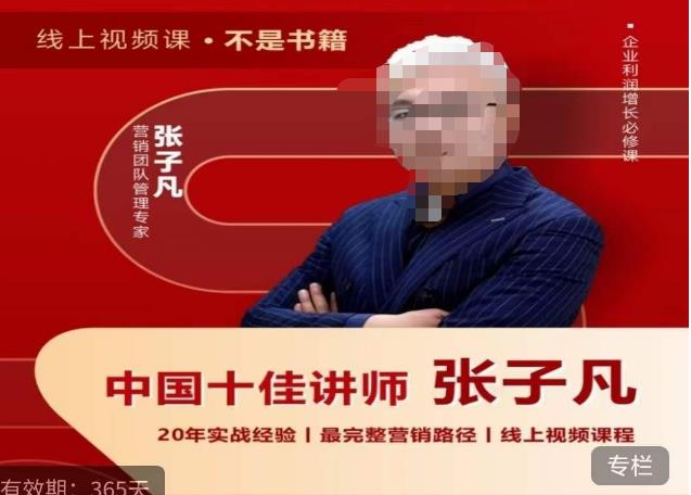 张子凡·20年实战经验,揭秘营销背后的底层逻辑,突破思维局限,从根本上破解营销难题-汇课新知资源网