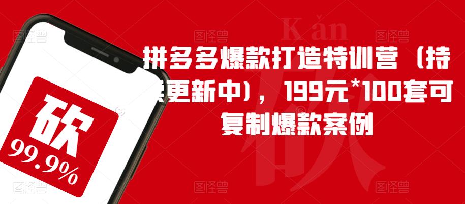 拼多多爆款打造特训营(持续更新中),199元*100套可复制爆款案例-汇课新知资源网