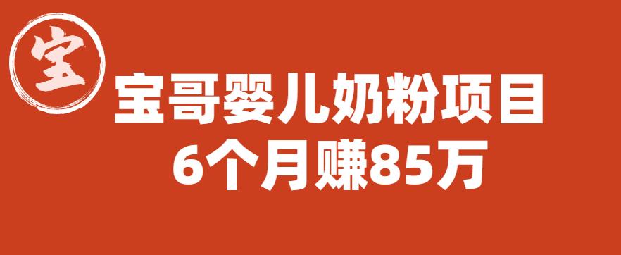 宝哥婴儿奶粉项目,6个月赚85w【图文非视频】【揭秘】-汇课新知资源网
