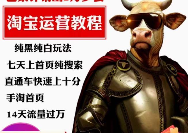 猫老师·淘系算法逆向解密，​纯黑纯白玩法，七天上首页纯搜索，手淘首页14天流量过万-汇课新知资源网