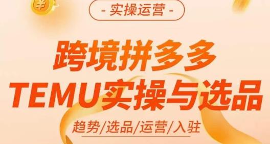 伍跃·跨境拼多多TEMU实操与选品,趋势/选品/运营/入住(27节完整)-汇课新知资源网