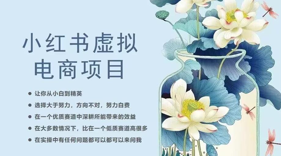 小红书虚拟电商从0到1,让你从小白到精英(20节实操课程)-汇课新知资源网
