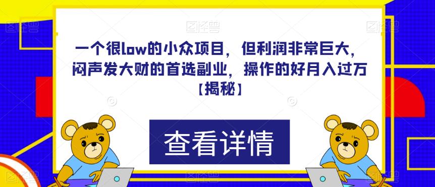 一个很low的小众项目,但利润非常巨大,闷声发大财的首选副业,操作的好月入过万【揭秘】-汇课新知资源网