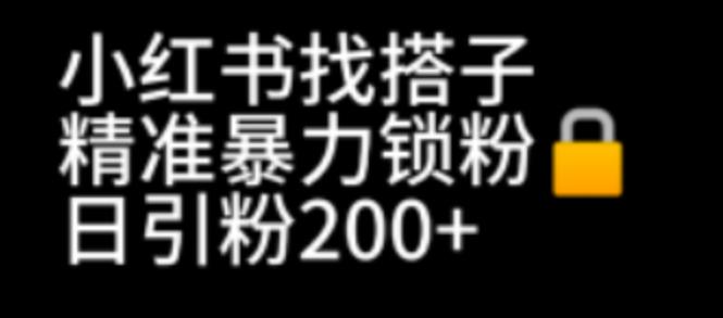 小红书找搭子暴力精准锁粉+引流日引200+精准粉-汇课新知资源网