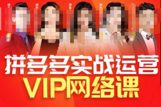 推易拼多多VIP全套直播课程,拼多多店铺实操玩法+实战玩法选款内功+直通车高阶等-汇课新知资源网