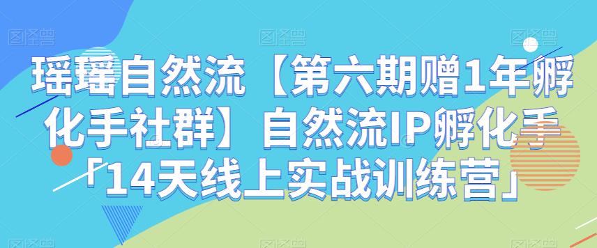 瑶瑶自然流【第六期赠1年孵化手社群】自然流IP孵化手「14天线上实战训练营」-汇课新知资源网