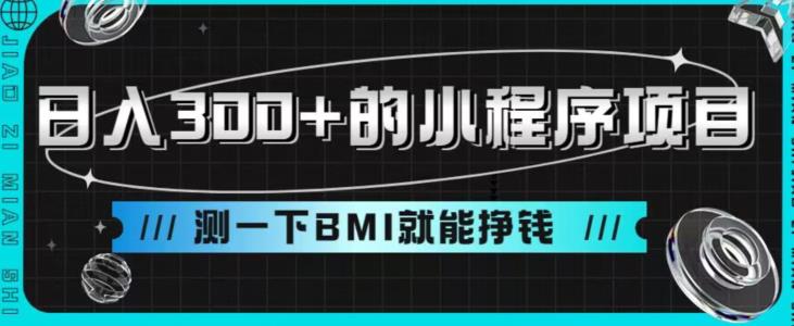 日入300+的小程序项目,测一下BMI就能挣钱【揭秘】-汇课新知资源网