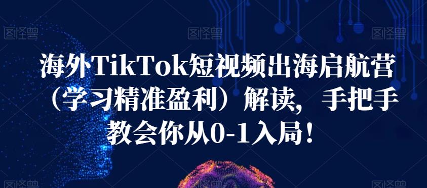 海外TikTok短视频出海启航营(学习精准盈利)解读,手把手教会你从0-1入局!-汇课新知资源网