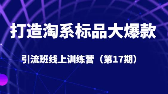 打造淘系标品大爆款引流班线上训练营(第17期)5天直播授课-汇课新知资源网
