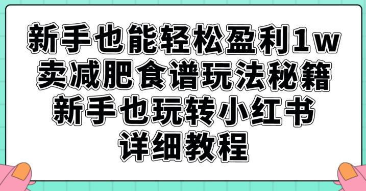 新手也能轻松盈利1w,卖减肥食谱玩法秘籍,新手也玩转小红书详细教程【揭秘】-汇课新知资源网