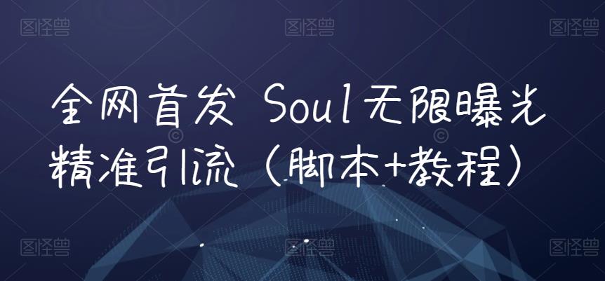 全网首发 Soul无限曝光精准引流(脚本+教程)-汇课新知资源网