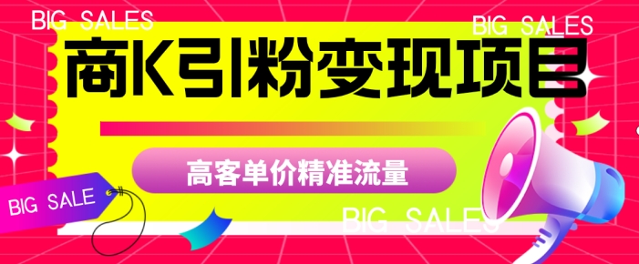商K引粉变现项目,高客单价精准流量【揭秘】-汇课新知资源网