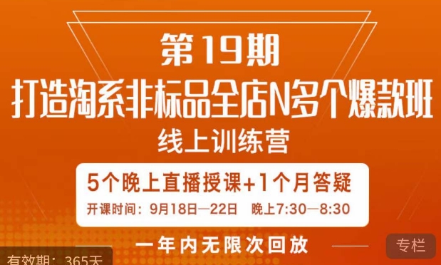 打造淘系非标全店N多个爆款线上课,5天直播课-汇课新知资源网