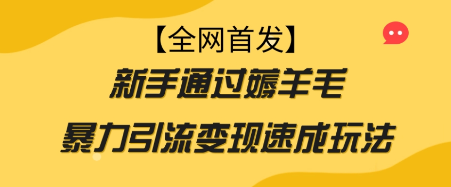 【全网首发】新手通过薅羊毛暴力引流变现速成玩法-汇课新知资源网