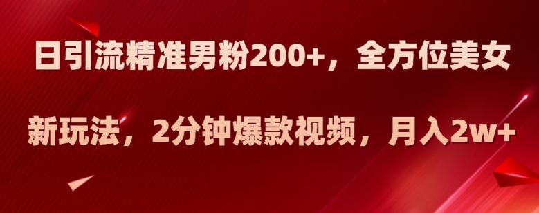 日引流精准男粉200+，全方位美女新玩法，2分钟爆款视频，月入2w+【揭秘】-汇课新知资源网