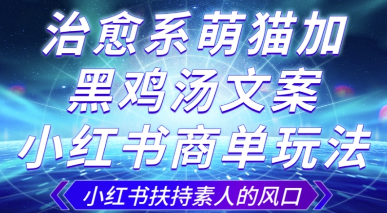 治愈系萌猫加+黑鸡汤文案，小红书商单玩法，3~10天涨到1000粉，一单200左右-汇课新知资源网