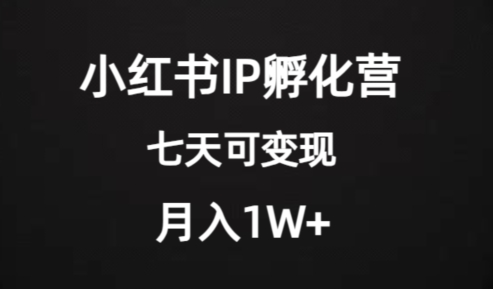 价值2000+的小红书IP孵化营项目,超级大蓝海,七天即可开始变现,稳定月入1W+-汇课新知资源网