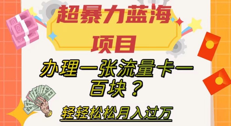 超暴力蓝海项目，办理一张流量卡一百块？轻轻松松月入过万，保姆级教程【揭秘】-汇课新知资源网
