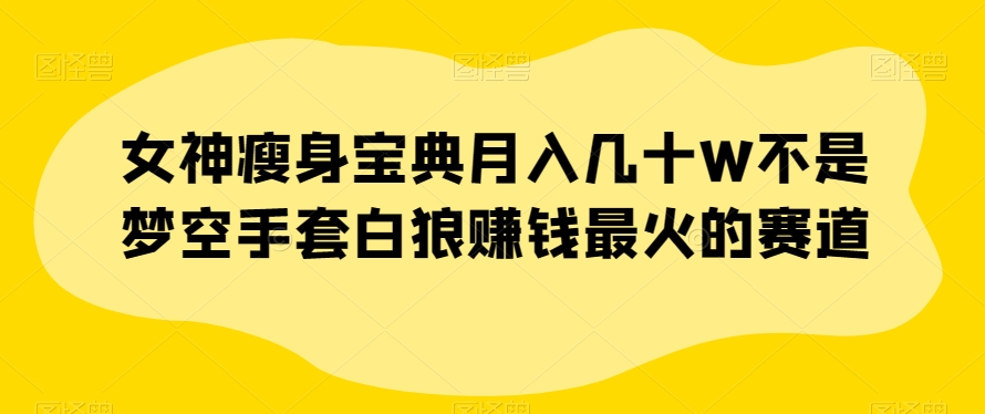 女神瘦身宝典月入几十W不是梦空手套白狼赚钱最火的赛道【揭秘】-汇课新知资源网