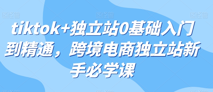 tiktok+独立站0基础入门到精通,跨境电商独立站新手必学课-汇课新知资源网