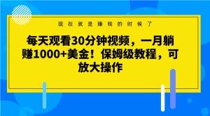 每天观看30分钟视频，一月躺赚1000+美金！保姆级教程，可放大操作【揭秘】-汇课新知资源网