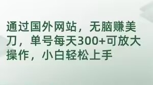 通过国外网站，无脑赚美刀，单号每天300+可放大操作，小白轻松上手【揭秘】-汇课新知资源网