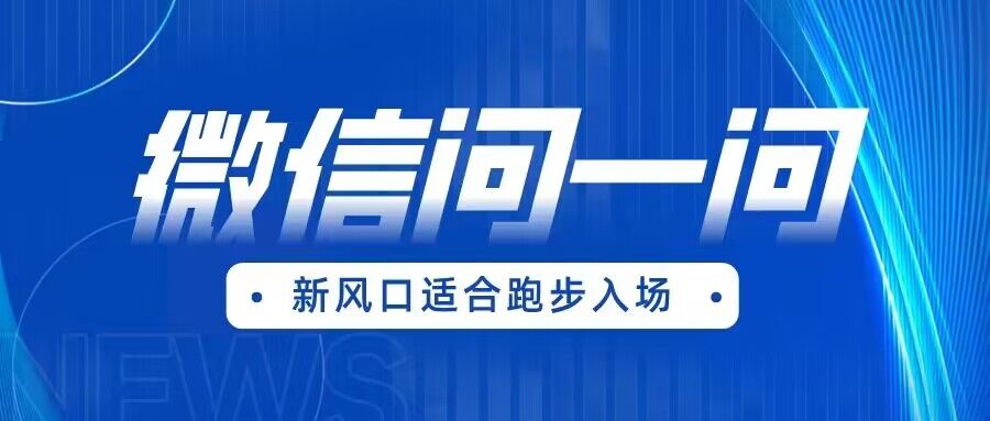 全网首发微信问一问新风口变现项目（价值1999元）-汇课新知资源网