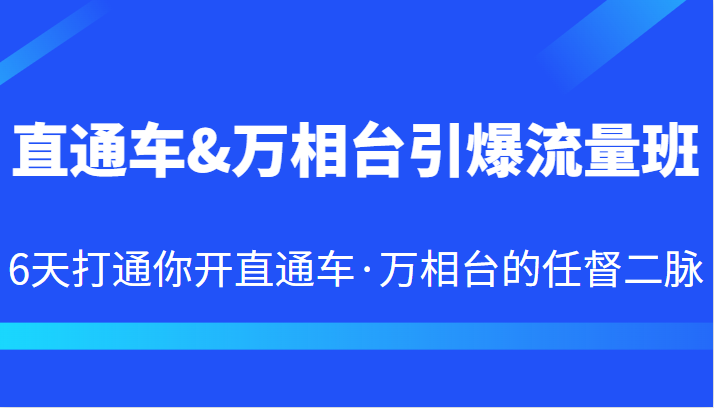 直通车&万相台引爆流量班 6天打通你开直通车·万相台的任督二脉-汇课新知资源网