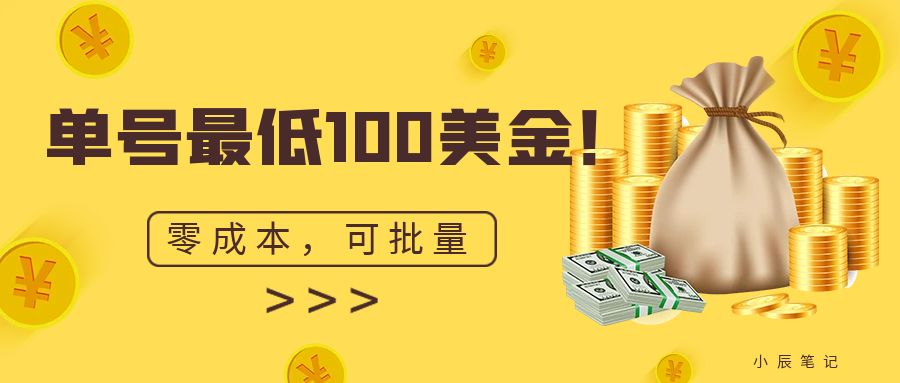 单号最低100美金,零成本,小白无脑操作。可复制,可扩大。-汇课新知资源网