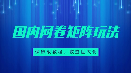 保姆级教程,国内问卷矩阵玩法,轻松赚收益-汇课新知资源网