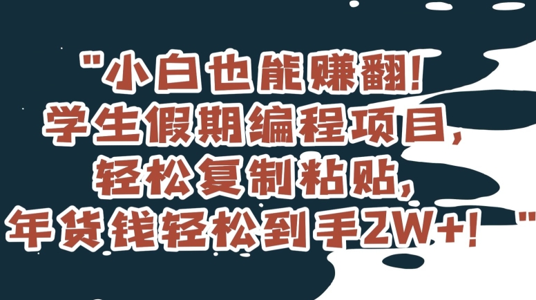 小白也能赚翻!学生假期编程项目,轻松复制粘贴,年货钱轻松到手2W+【揭秘】-汇课新知资源网
