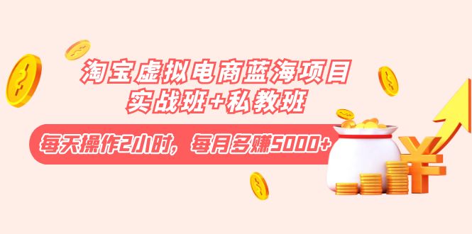 (4056期)淘宝虚拟电商蓝海项目实战班+私教班:每天操作2小时,每月多赚5000+-汇课新知资源网