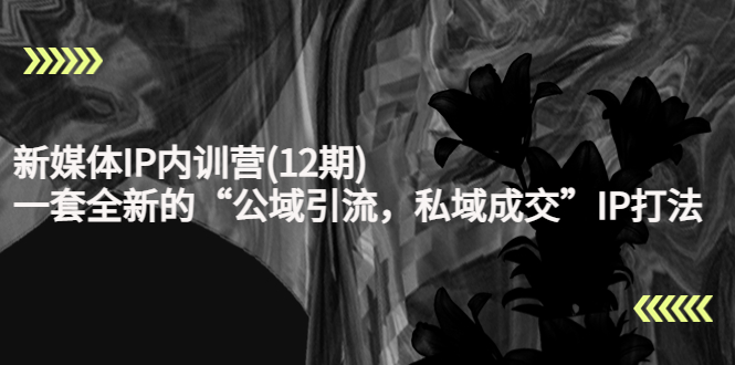 (4103期)新媒体IP内训营(12期),一套全新的“公域引流,私域成交”IP打法,直接带走-汇课新知资源网