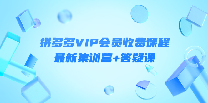 (4127期)某社群·拼多多VIP会员收费课程,最新集训营+答疑课-价值3299元-汇课新知资源网