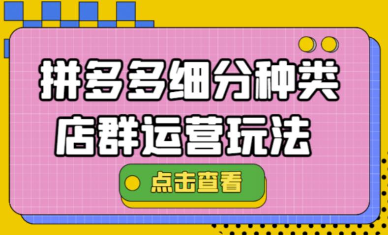 (4373期)拼多多细分种类店群运营玩法3.0,11月最新玩法,小白也可以操作-汇课新知资源网