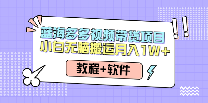 （4343期）人人都能操作的蓝海多多视频带货项目 小白无脑搬运月入10000+（教程+软件）-汇课新知资源网