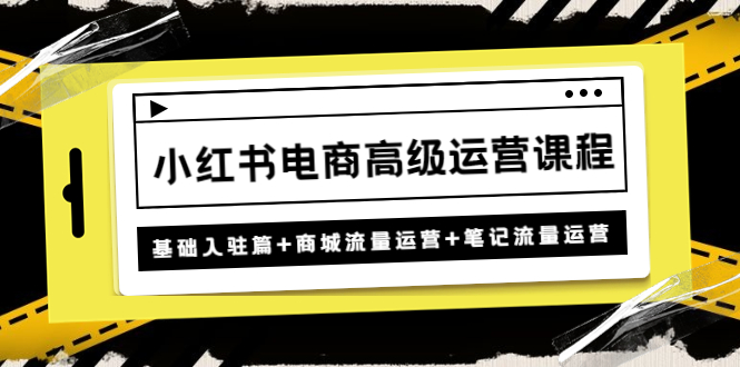 （4638期）小红书电商高级运营课程：基础入驻篇+商城流量运营+笔记流量运营-汇课新知资源网