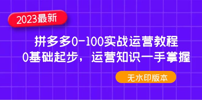 （4835期）2023拼多多0-100实战运营教程，0基础起步，运营知识一手掌握（无水印）-汇课新知资源网