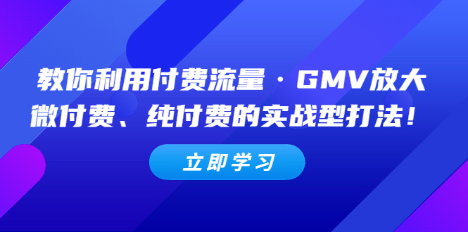 (5106期)教你利用付费流量·GMV放大,微付费、纯付费的实战型打法!-汇课新知资源网