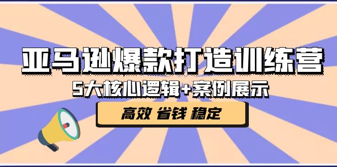 (5107期)亚马逊爆款打造训练营:5大核心逻辑+案例展示 打造爆款链接 高效 省钱 稳定-汇课新知资源网