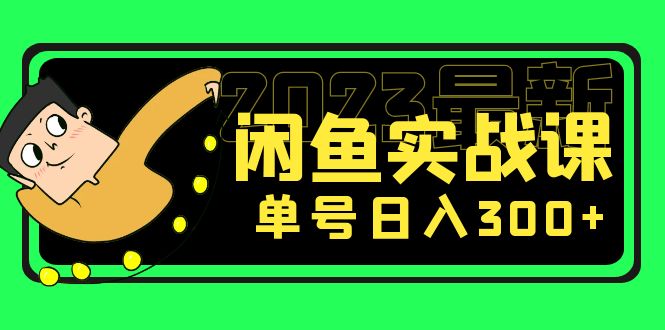 (5117期)花599买的闲鱼项目:2023最新闲鱼实战课,单号日入300+(7节课)-汇课新知资源网