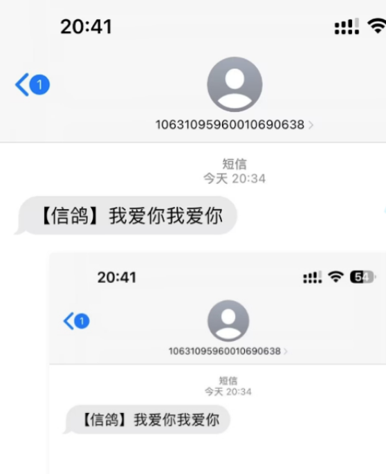 (5270期)冷门月入过万的匿名短信项目搭建教程【网站源码+网站搭建视频教程】